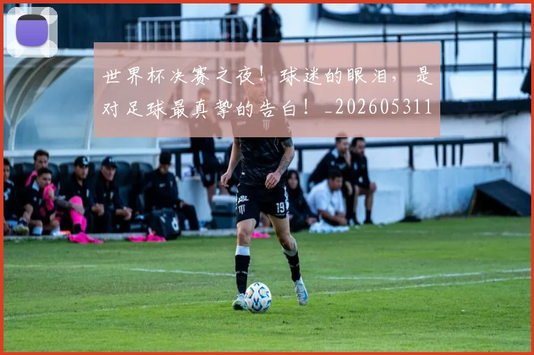 世界杯决赛之夜！球迷的眼泪，是对足球最真挚的告白！_20260531151424